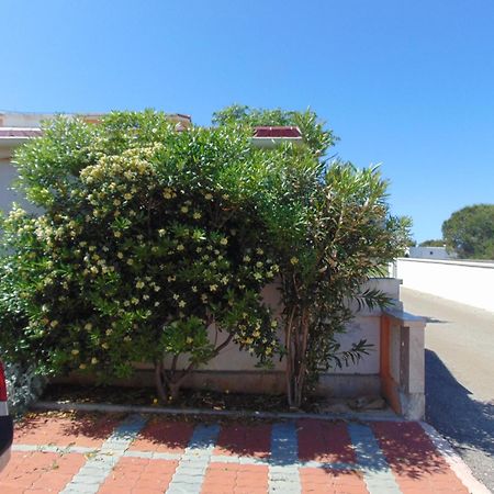 Apartman Ivana Vir Exterior photo